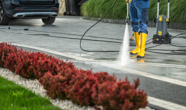 Best Roof Cleaning and Mildew Removal in Hollywood Park, TX